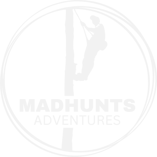 timber-ninja-madhunts-adventures